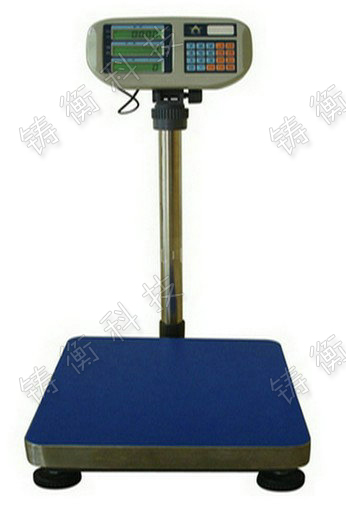 計數(shù)電子臺稱